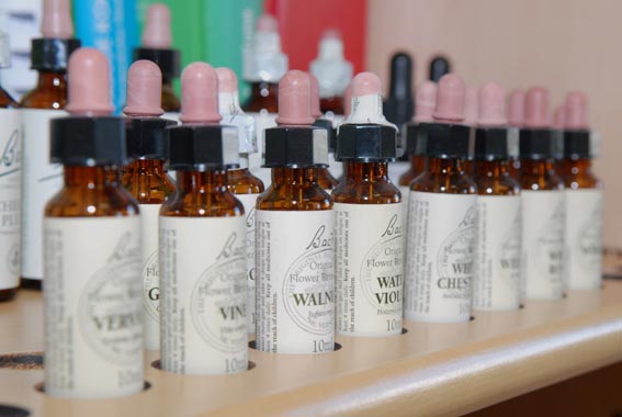 Naturheilverfahren bei Kindern -Blütenessenzen